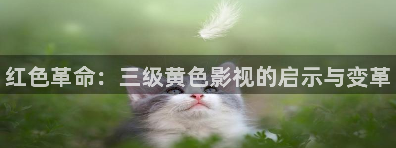 倫理影院在線：紅色革命：三級(jí)黃色影視的啟示與變革